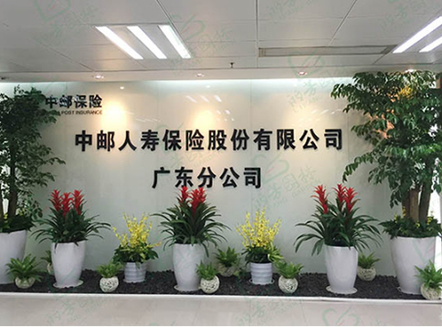 微信運(yùn)營推廣班企業(yè)案例